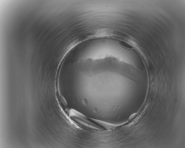 X0000059810810200510241354