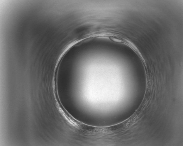 X0000059810811200510241354