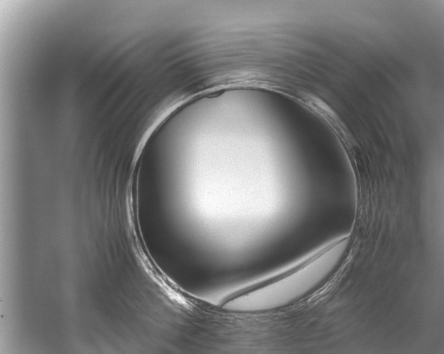 X0000059810812200510241354