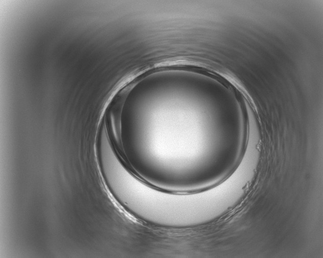 X0000059810813200510241354