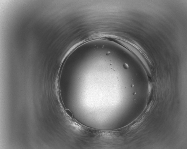 X0000059810814200510241354