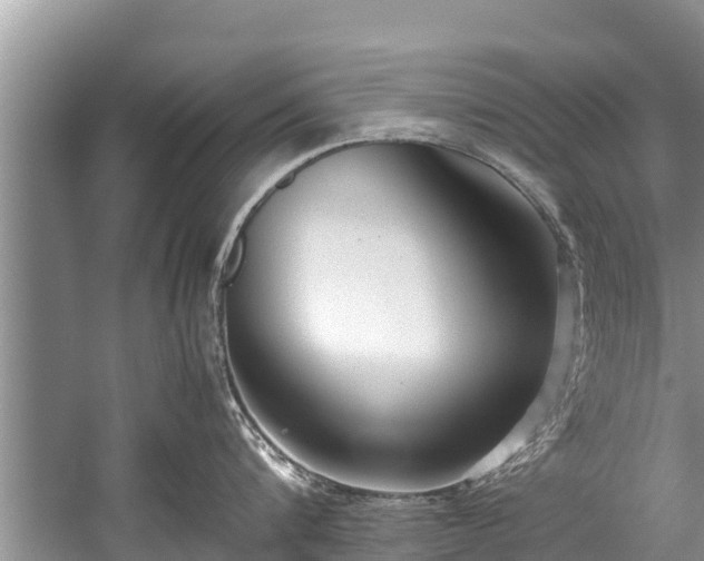 X0000059810816200510241354