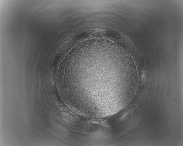 X0000059810819200510241353