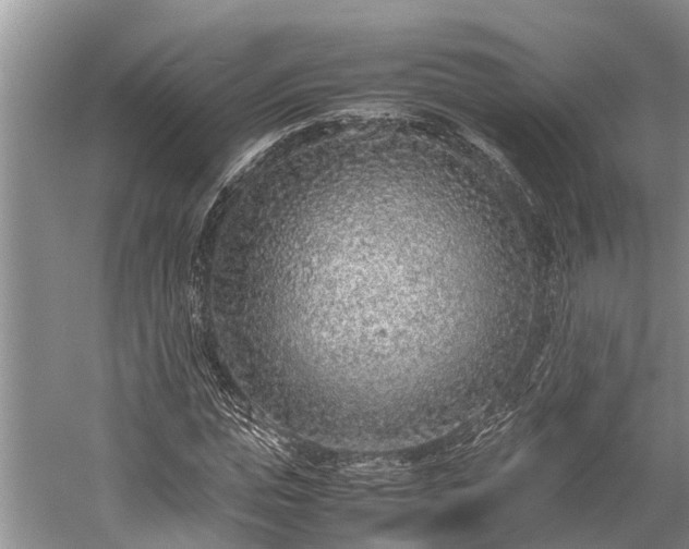 X0000059810823200510241353