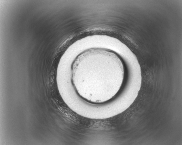 X0000059810824200510241353