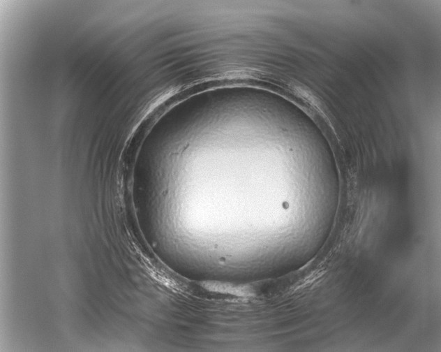 X0000059810827200510241353