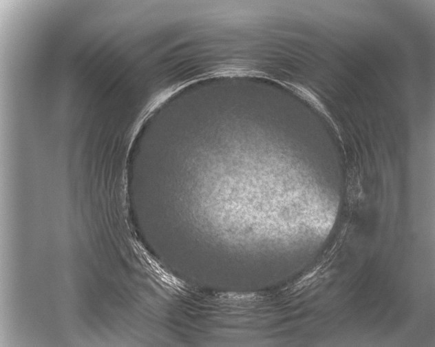 X0000059810831200510241353