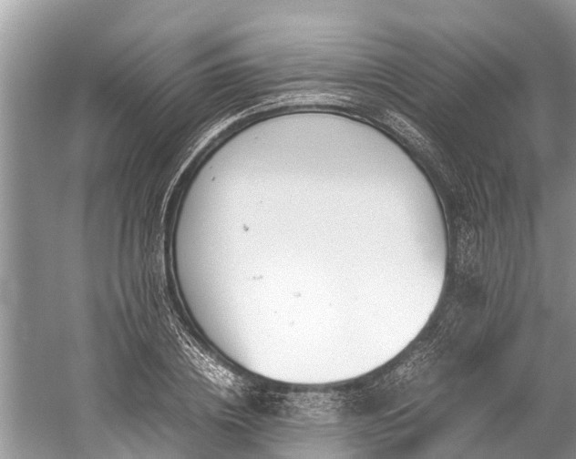 X0000059810836200510241353