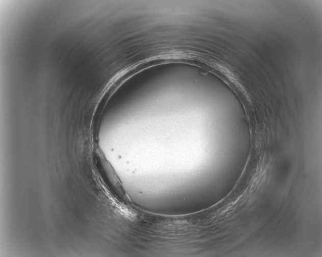 X0000059810837200510241353