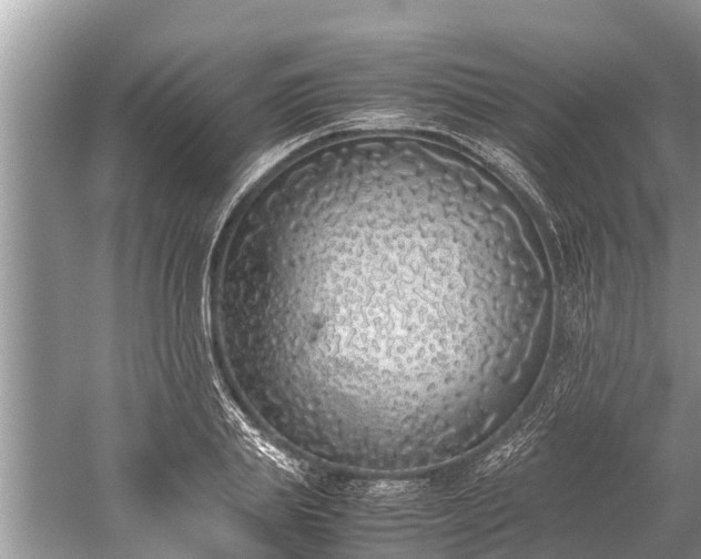 X0000059810839200510241353