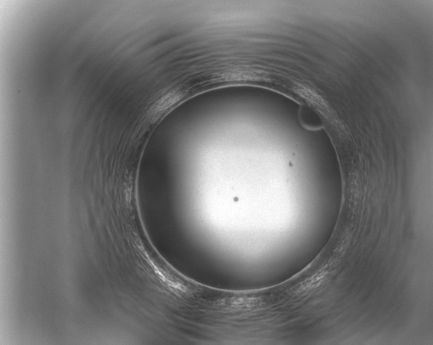 X0000059810841200510241353