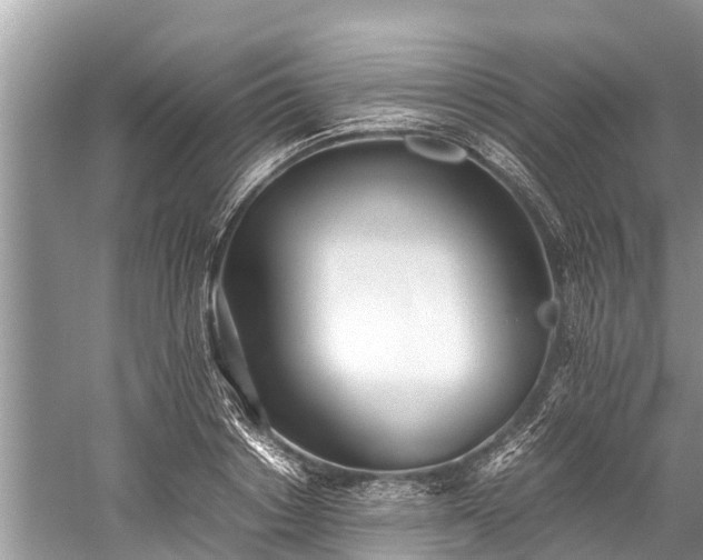 X0000059810842200510241353