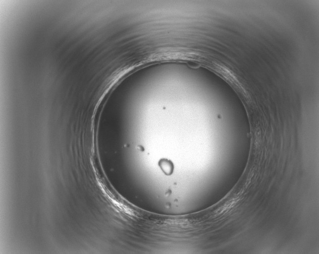 X0000059810844200510241353