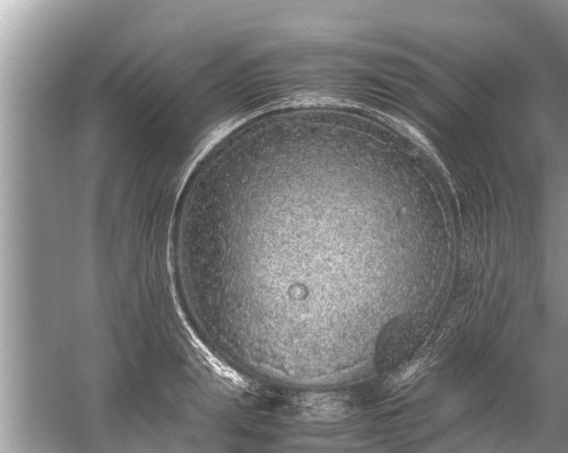 X0000059810847200510241353