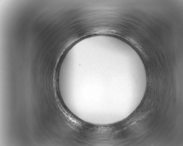 X0000059810848200510241353