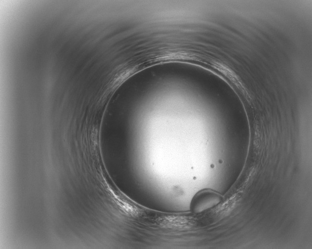 X0000059810849200510241353