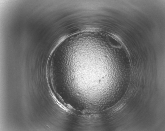 X0000059810851200510241353