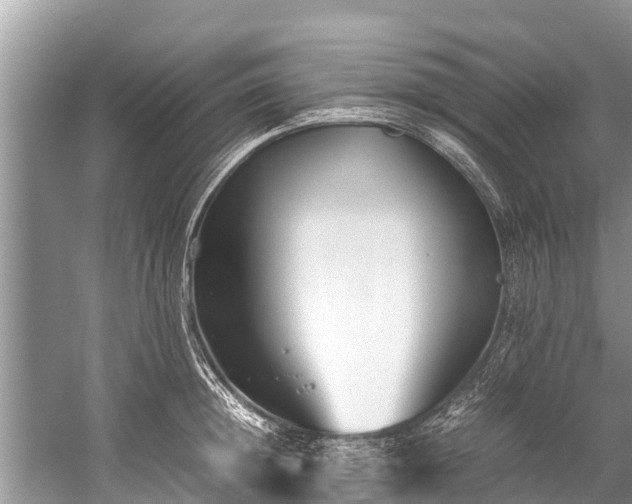 X0000059810852200510241353