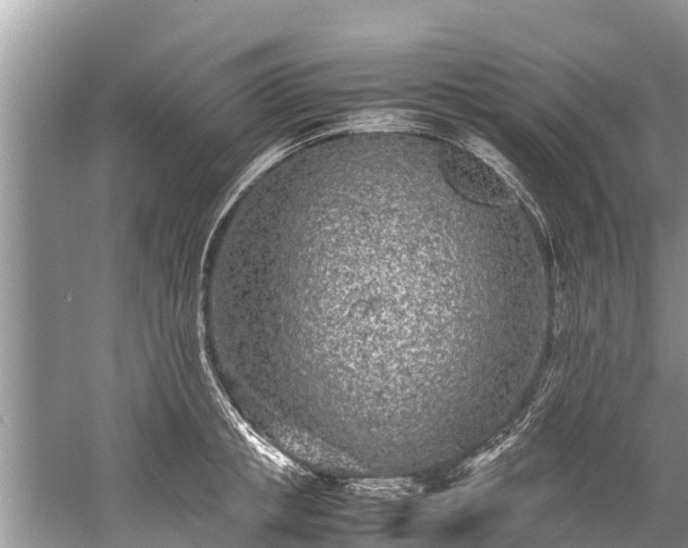 X0000059810853200510241353