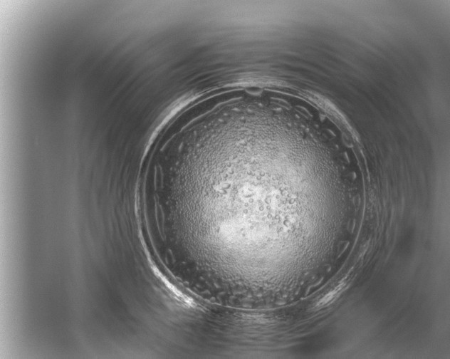 X0000059810855200510241353