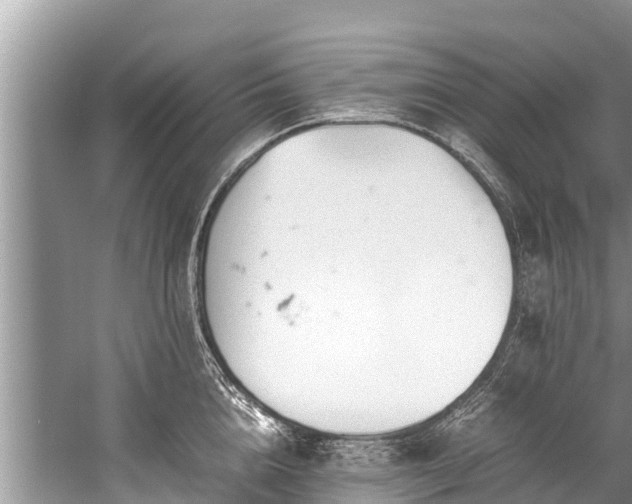 X0000059810856200510241353