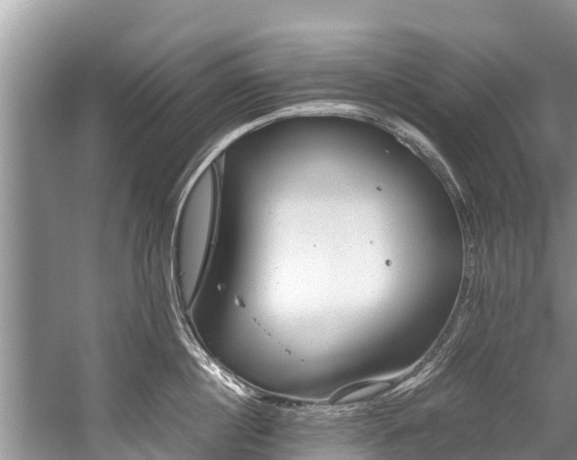 X0000059810860200510241353