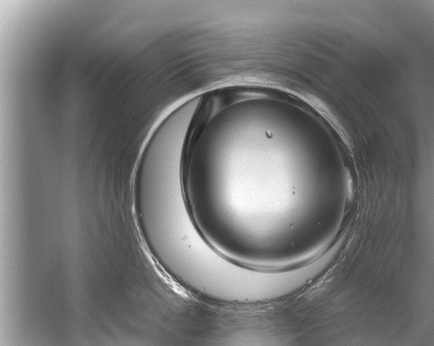 X0000059810862200510241353