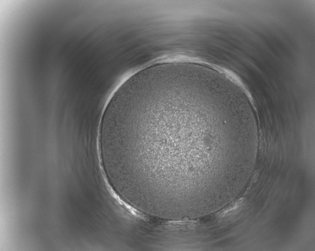 X0000059810863200510241354