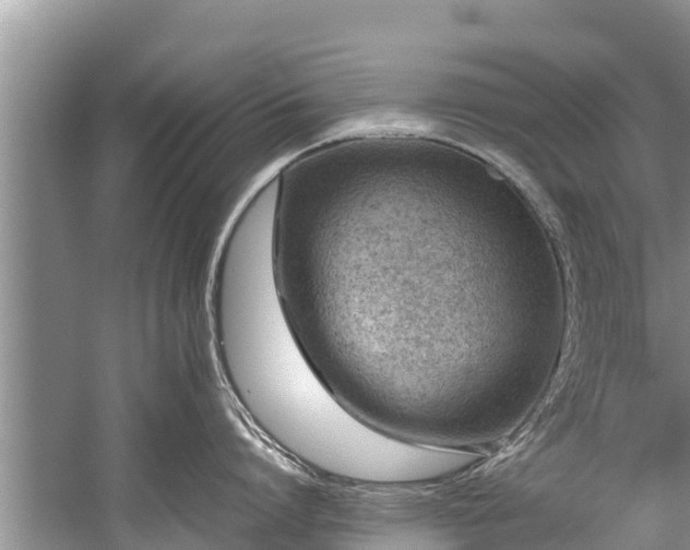 X0000059810864200510241354