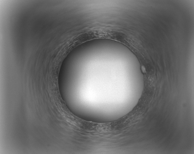 X0000059810865200510241353