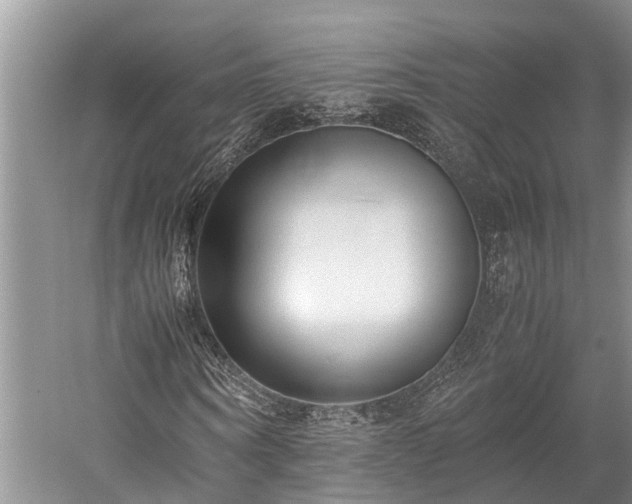 X0000059810866200510241353