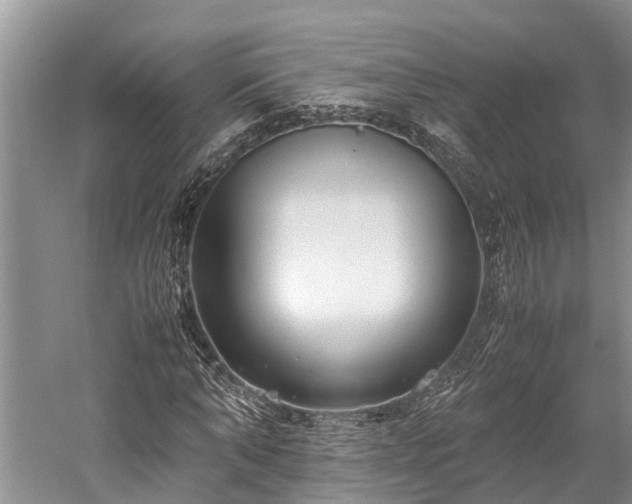 X0000059810870200510241353