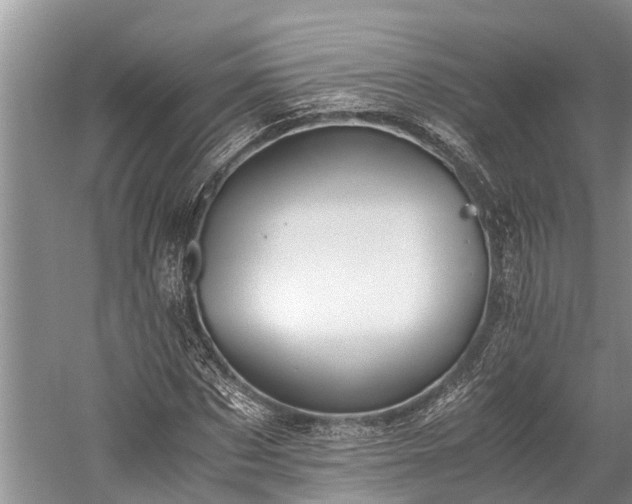 X0000059810873200510241353