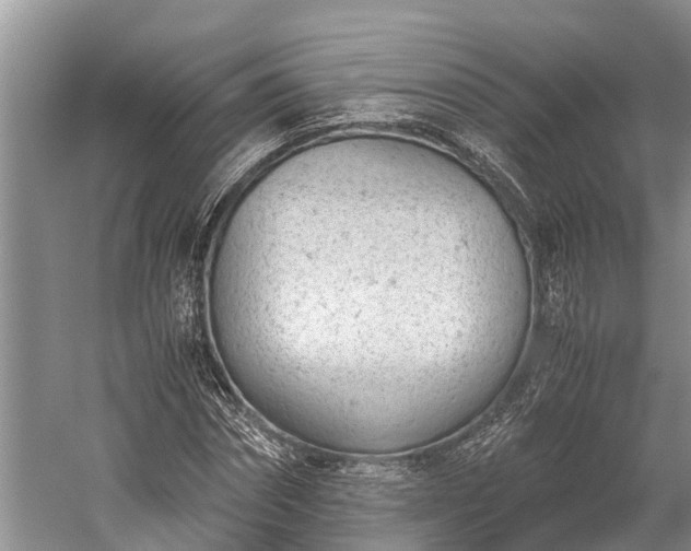 X0000059810874200510241353