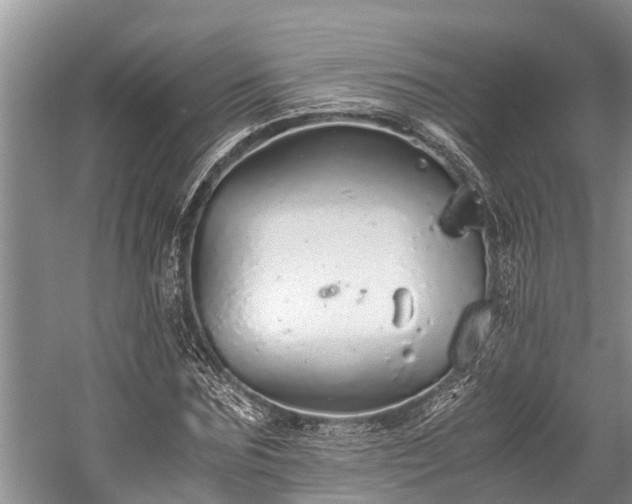 X0000059810875200510241353