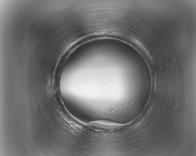 X0000059810876200510241353