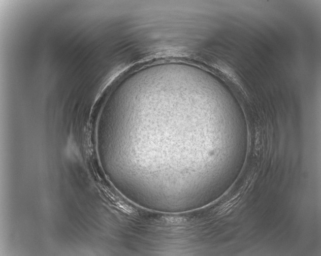 X0000059810878200510241352