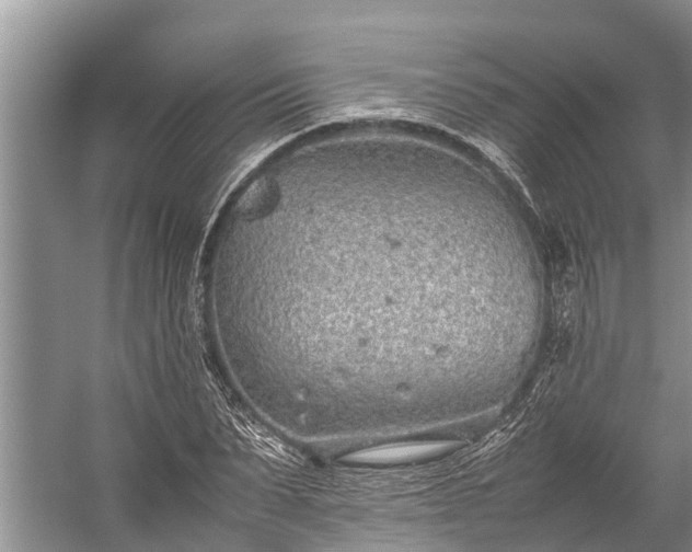 X0000059810879200510241352