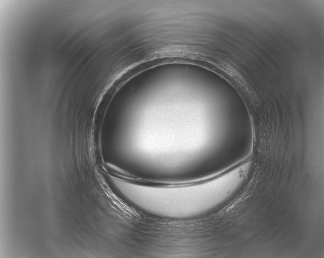 X0000059810880200510241352