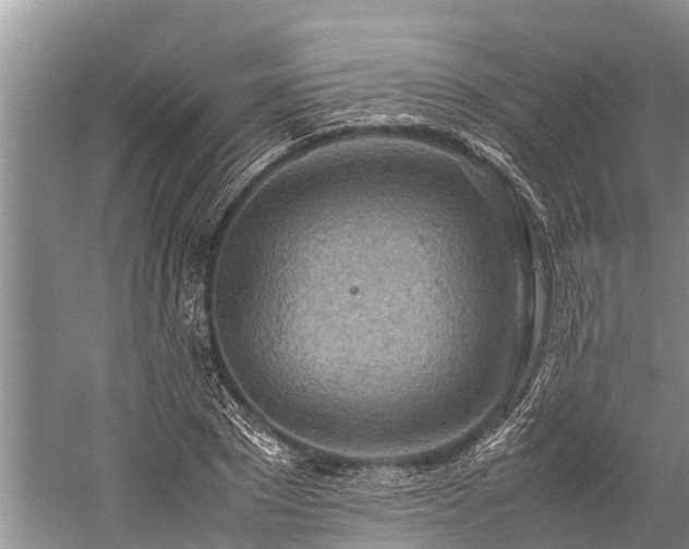 X0000059810881200510241352