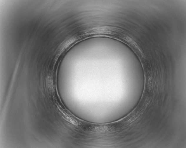 X0000059810882200510241352