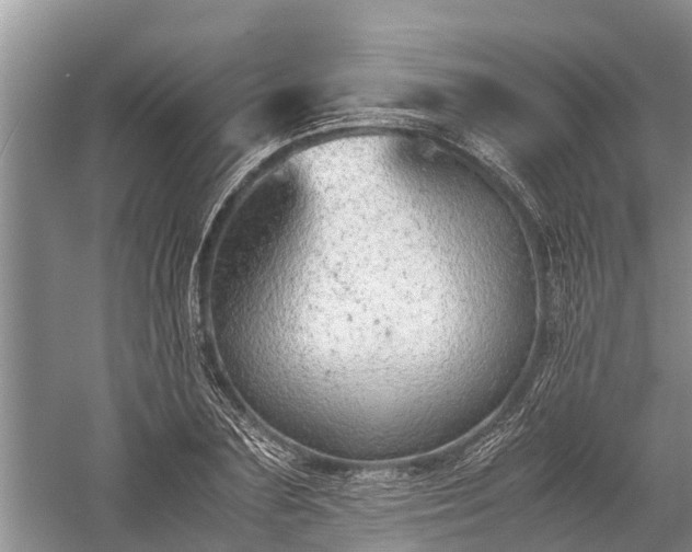 X0000059810883200510241352