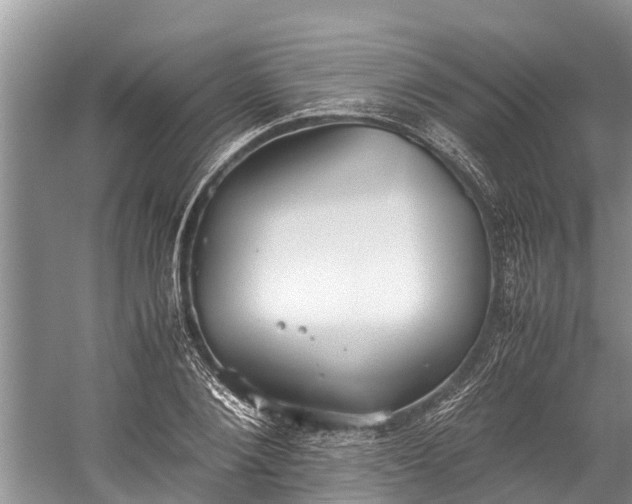 X0000059810884200510241352