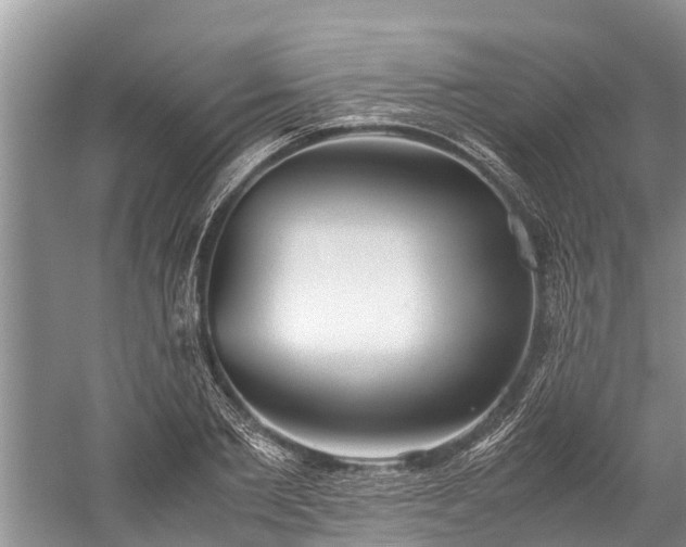 X0000059810885200510241352