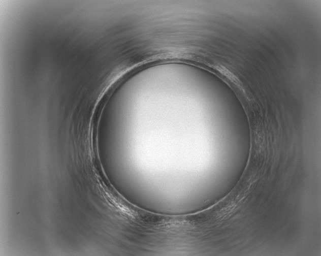 X0000059810886200510241352