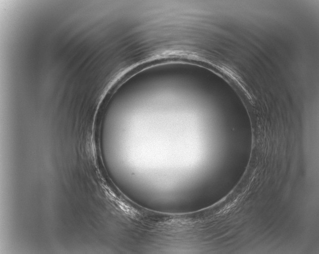 X0000059810888200510241352