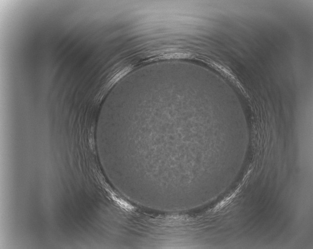 X0000059810889200510241352