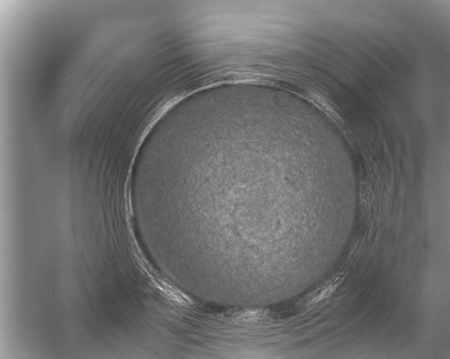 X0000059810891200510241352