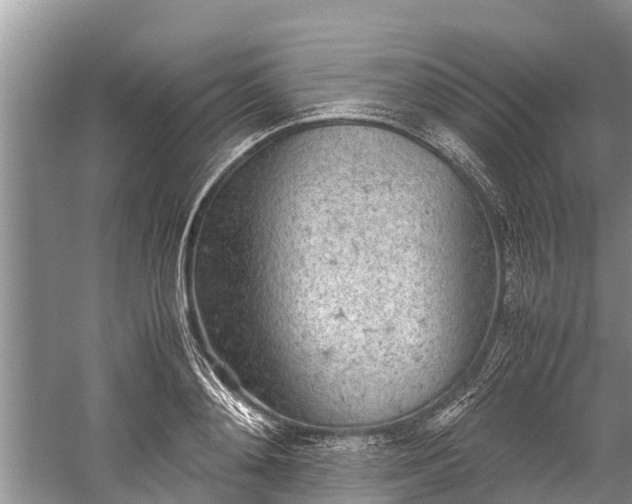 X0000059810892200510241352