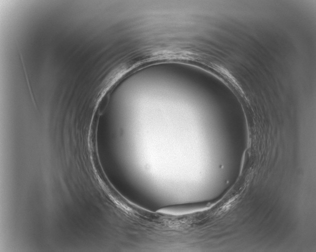 X0000059810893200510241352